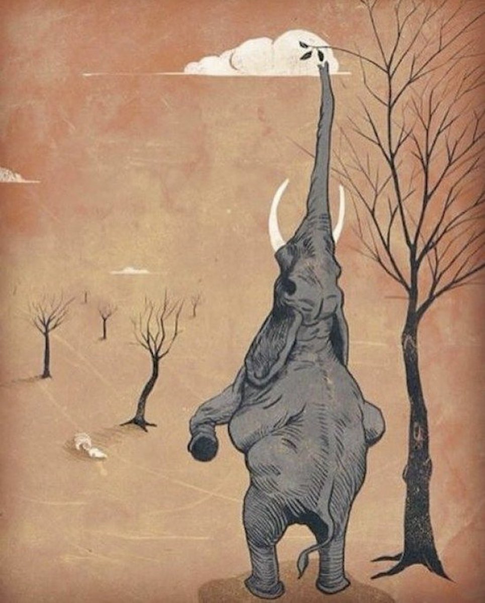 What does this picture tell you?

Drop your comments!