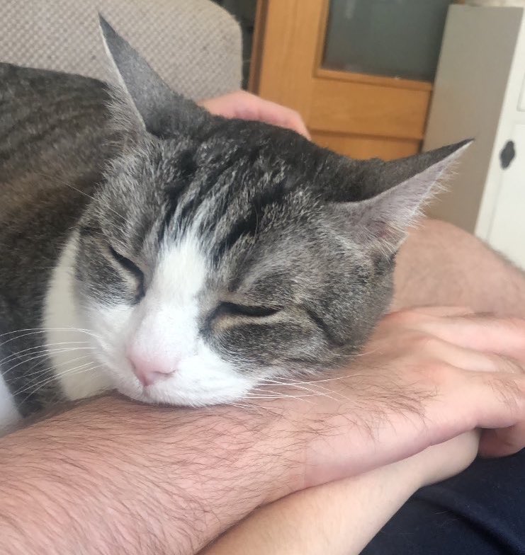 Rachel Gin🌸 tweet media