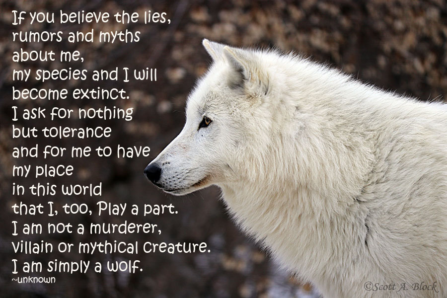 BanKillContests's tweet image. 