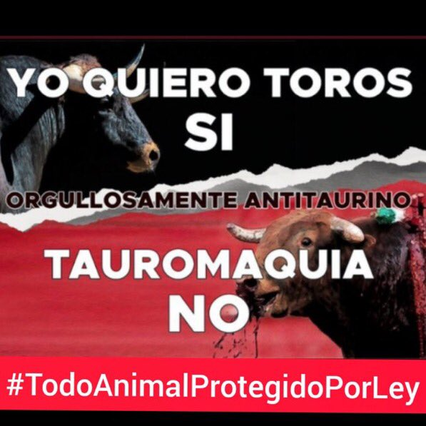 La tauromaquia es asesinar a un animal inocente. 

No es Arte es Tortura. 

#TodoAnimalProtegidoPorLey