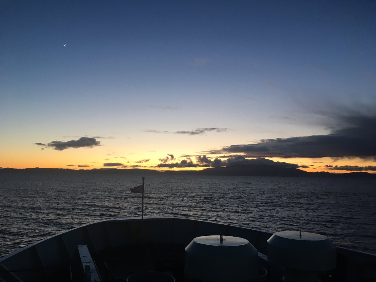 Tara Stephens tweet media