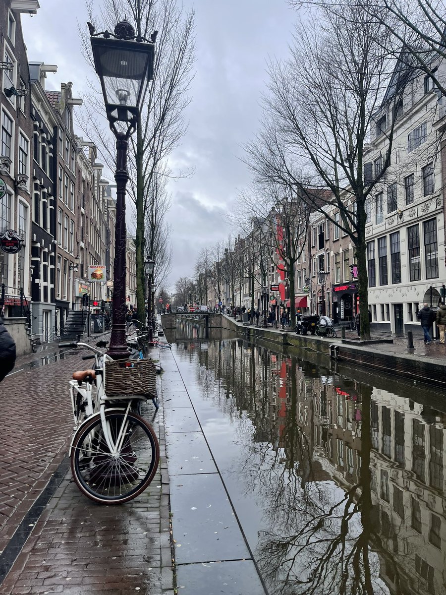 tocuamon's tweet image. ❌❌❌