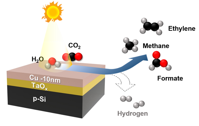 Rajiv Ramanujam (@rajiv_ramanujam) on Twitter photo My paper from <a href="/LiSA_Hub_DOE/">Liquid Sunlight Alliance</a> on TaOx as an electron transport layer for CO2 reduction photocathodes is out in preprint :) My paper from <a href="/LiSA_Hub_DOE/">Liquid Sunlight Alliance</a> on TaOx as an electron transport layer for CO2 reduction photocathodes is out in preprint :)