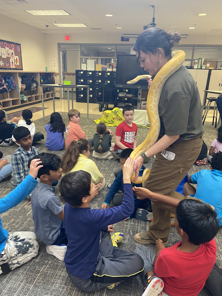 caseykelli1's tweet photo. We love when Creature Teacher visits our school! #IsbellPride @IsbellPride https://t.co/ehjedwfSE3