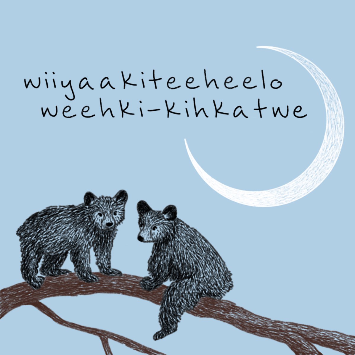 ⛈ 🦅 mekadebines 🦅 ⛈ on Twitter "This is so cool, Anishinaabeg we need