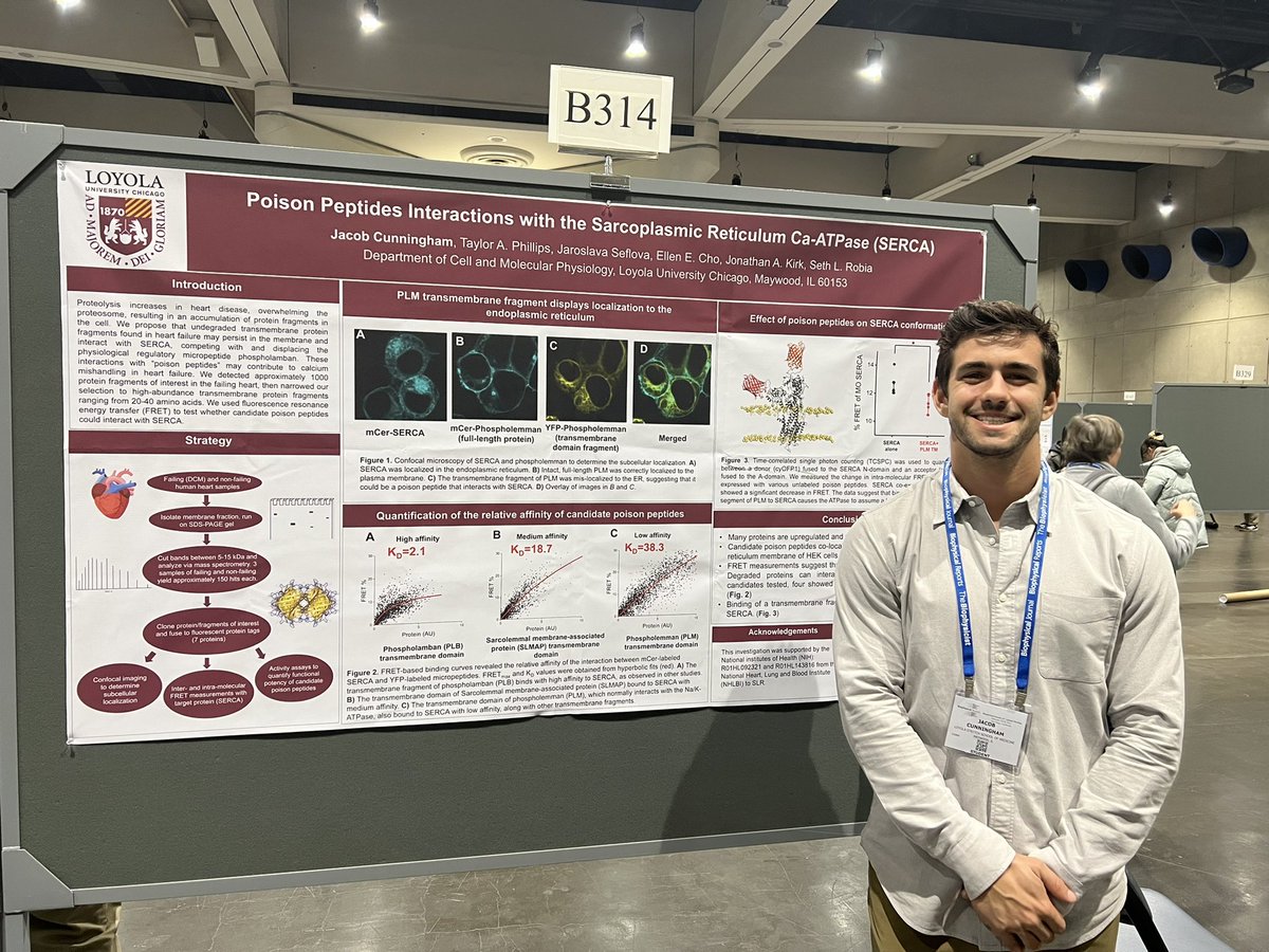 jakedcunningham's tweet photo. Great conference @BiophysicalSoc in San Diego! Had a great time presenting some of my summer research with the Robia Lab! https://t.co/xpWzHl8miL