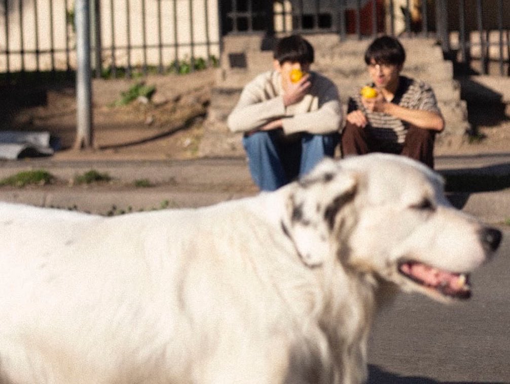 Aún emocionado y sin palabras por el hermoso arte que preparó @hidarinka para mi disco 'Chuchunco', les comparto una gran noticia: con este nuevo álbum hemos comenzado a trabajar con los capos del sello <a href="/RedPonchoCL/">Red Poncho</a> Para mí y mi banda es un honor y nos llena de energía🙌🏽✊🏽