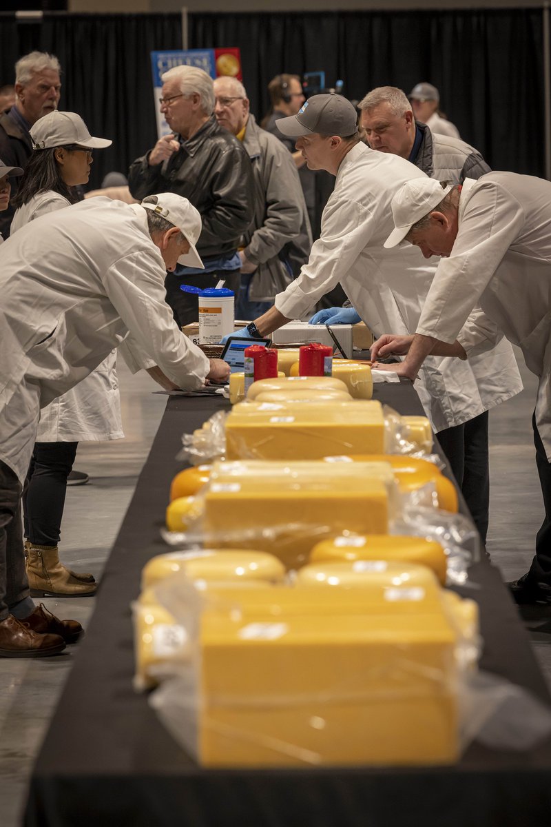 Championship Cheese Contests tweet media