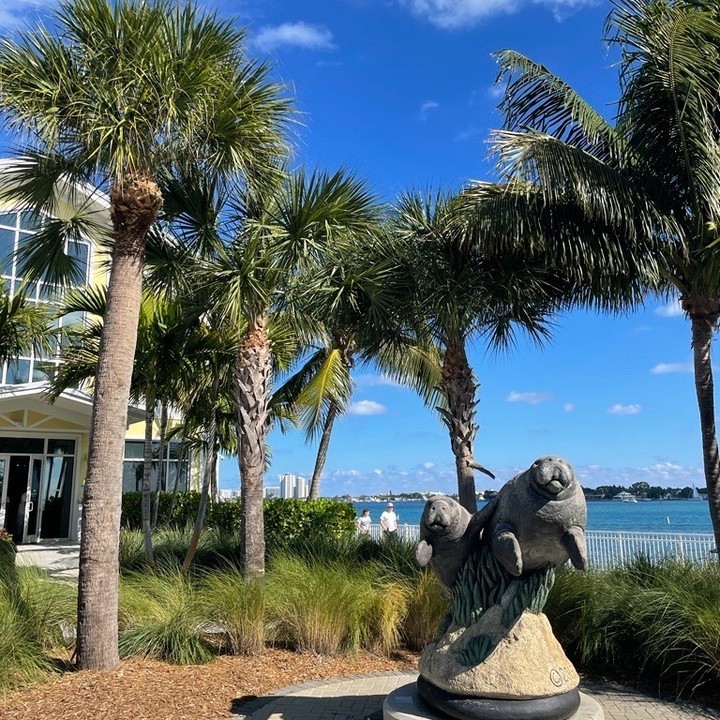 Wilmington Airport (@flyilg) on Twitter photo Do you have spring break plans yet?😎☀️ Head south to West Palm Beach for the perfect Florida escape! Be sure to add Manatee Lagoon to your itinerary to learn about wild manatees and enjoy seasonal viewings!
Book on <a href="/AveloAir/">Avelo Airlines</a> at AveloAir.com! #FlyILG #VisitFlorida Do you have spring break plans yet?😎☀️ Head south to West Palm Beach for the perfect Florida escape! Be sure to add Manatee Lagoon to your itinerary to learn about wild manatees and enjoy seasonal viewings!
Book on <a href="/AveloAir/">Avelo Airlines</a> at AveloAir.com! #FlyILG #VisitFlorida
