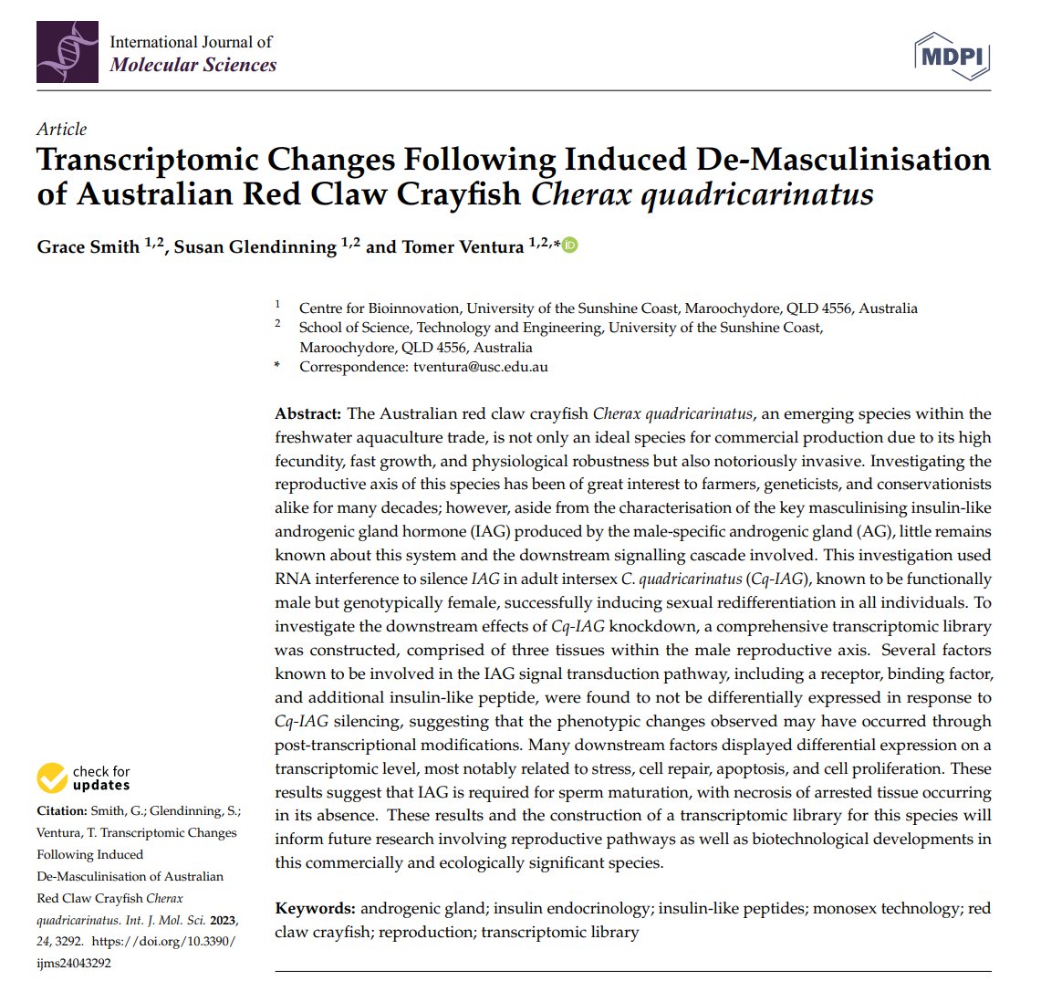 crayfishgrace's tweet photo. On track to produce monosex red claw populations for aquaculture and conservation! Read all about transcriptomics to do with reproduction https://t.co/ODkMat2mn9 @IJMS_MDPI https://t.co/lsVlbs7d9g