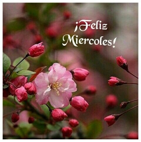 <a href="/PilarSilvaluna1/">Pilar Silva luna</a> Linda tarde Pilar.🤗🌹🌹