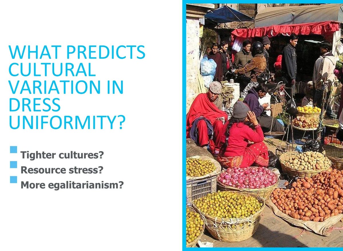 HRAF755's tweet photo. 🥻 Don't miss "Uniformity of Dress", presented by Carol R. Ember, Abbe McCarter, and Erik Ringen at #SCCR2023!

🗓️ February 24, 3:30-4:30 @SCCulturalRes 

https://t.co/PHeFfW5z8X https://t.co/IlDRJUs0Aq