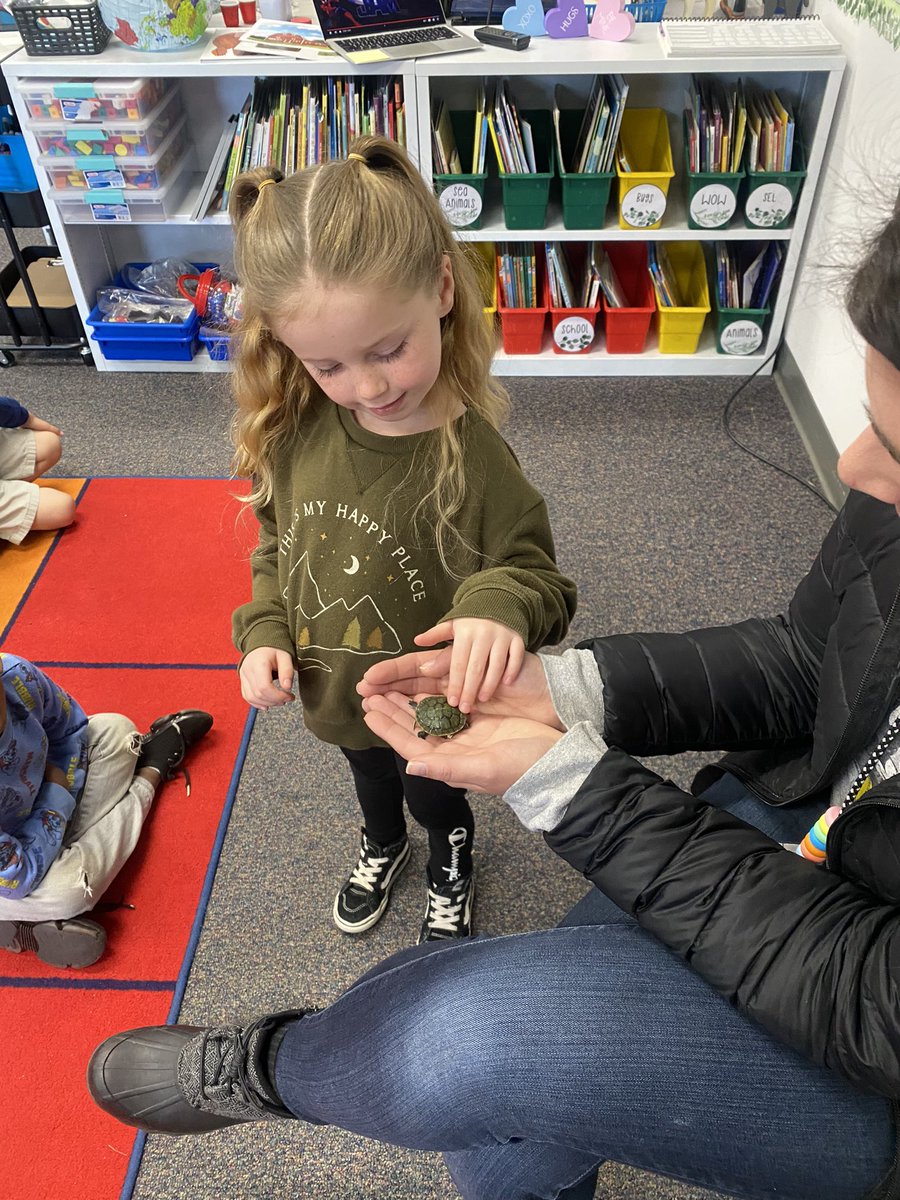 MrsBach_'s tweet photo. We have been learning about animals and today we got a special visit from a friend named Shelly. 💚🐢 @RiosRobots #RiosRocks #RiosRobots #TKfun https://t.co/ZxK7adLqRr