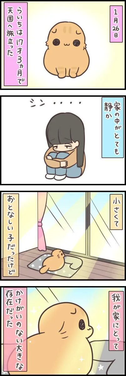 虹の橋を渡った愛猫。家の中はどこも名残りばかりで…【連載】もふもふスコたん#264|ねこのきもちWEB MAGAZINE https://t.co/2RSxRgd5e8 