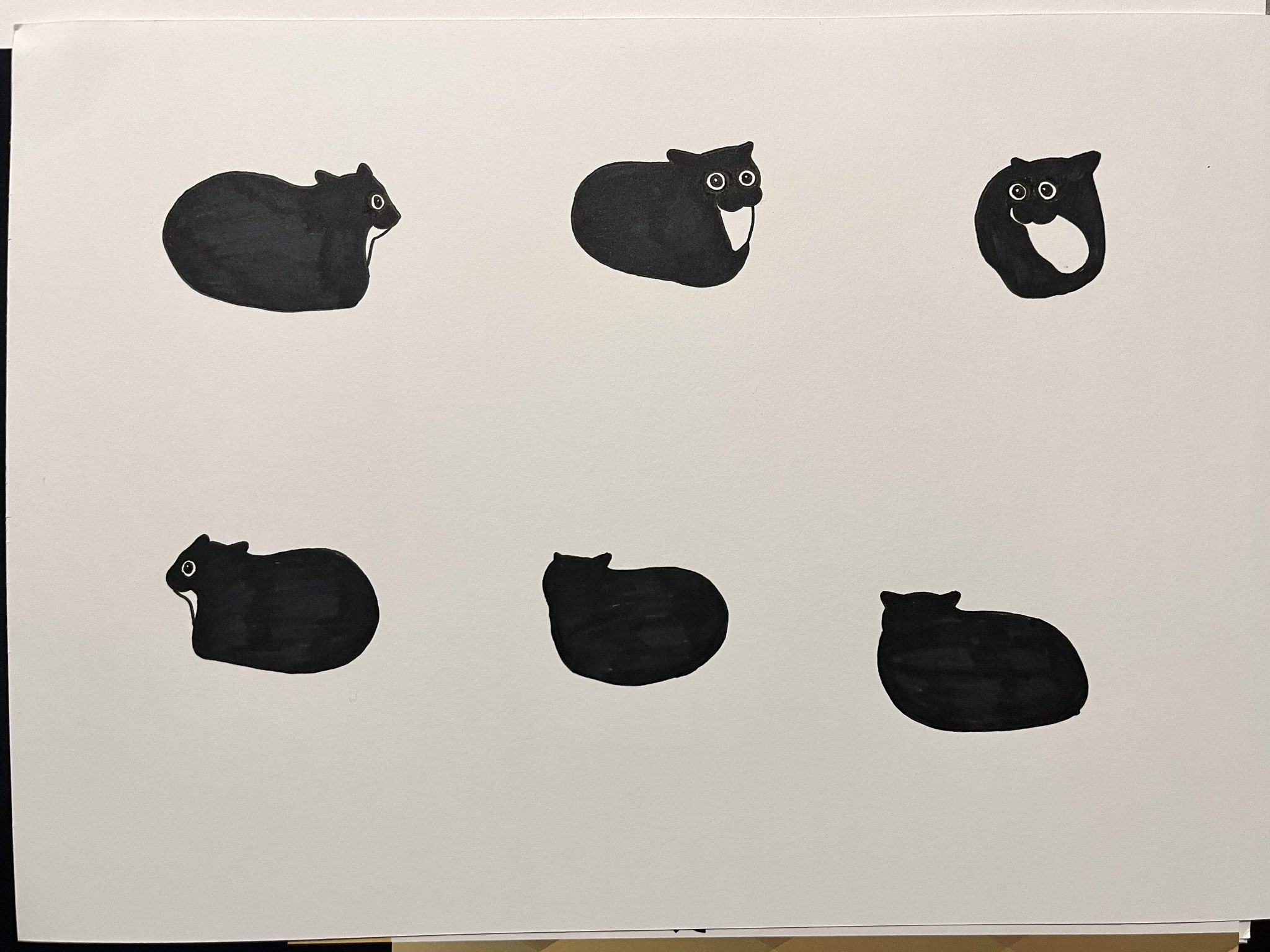 poorly drawn cats on Twitter "almost died from the sharpie fumes but