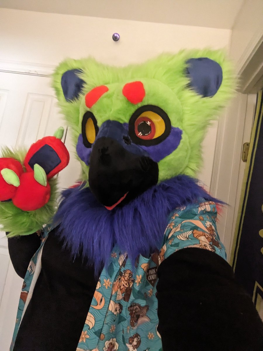 Missy_Zero's tweet photo. Finally trying to put an outfit together for my lovely first fursuit! It was made by @ArtzoraStudios ! 
I got various tropical shirts , but just debating what to wear underneath since they are short sleeves! https://t.co/vGTW5DsgtM