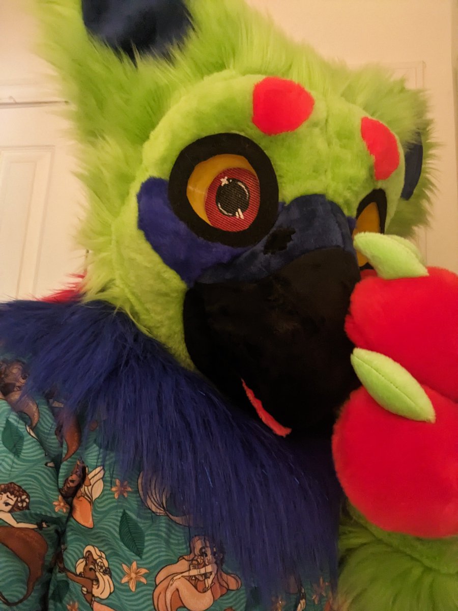 Missy_Zero's tweet photo. Finally trying to put an outfit together for my lovely first fursuit! It was made by @ArtzoraStudios ! 
I got various tropical shirts , but just debating what to wear underneath since they are short sleeves! https://t.co/vGTW5DsgtM
