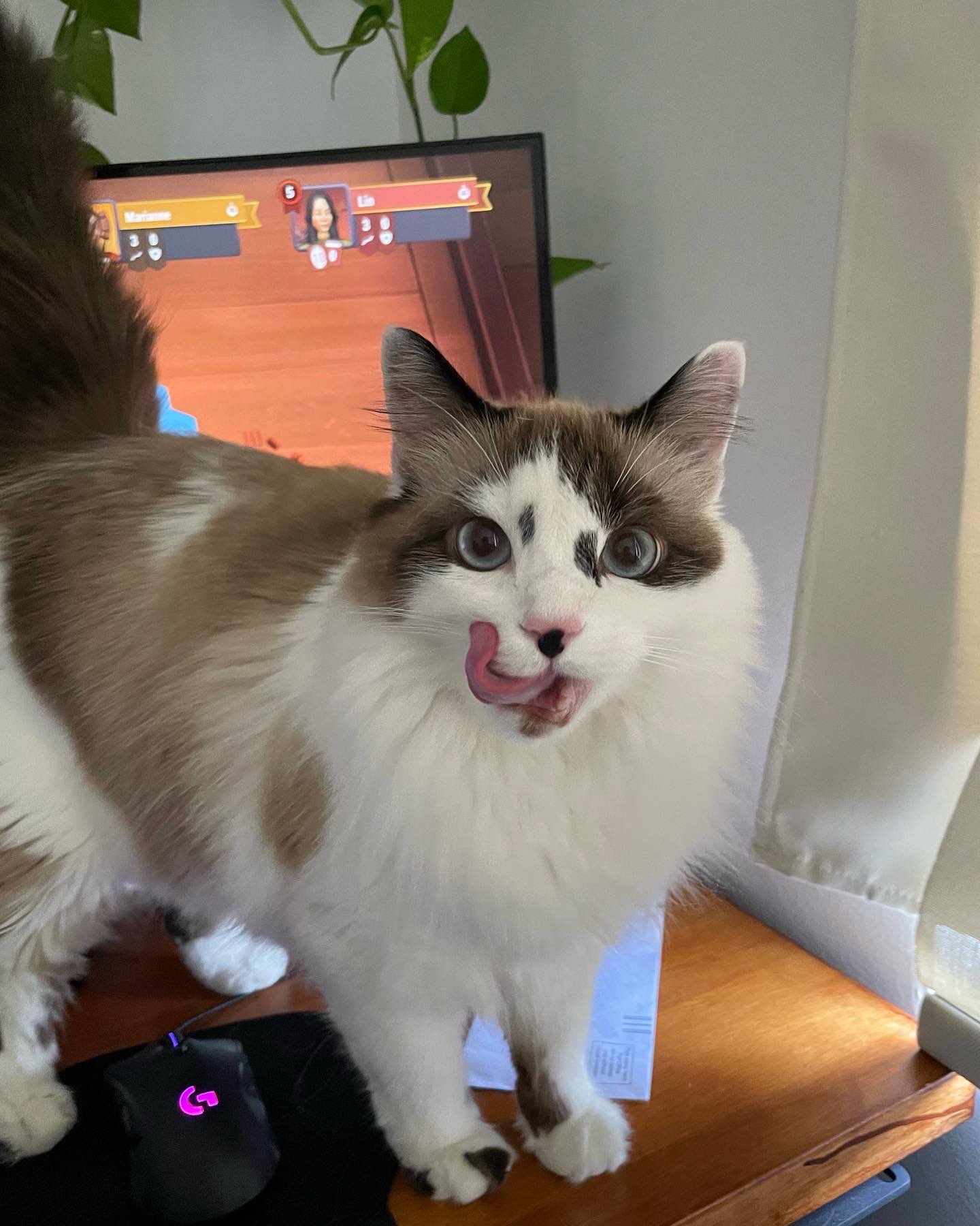 goblin (@freegoblinpics) / Twitter