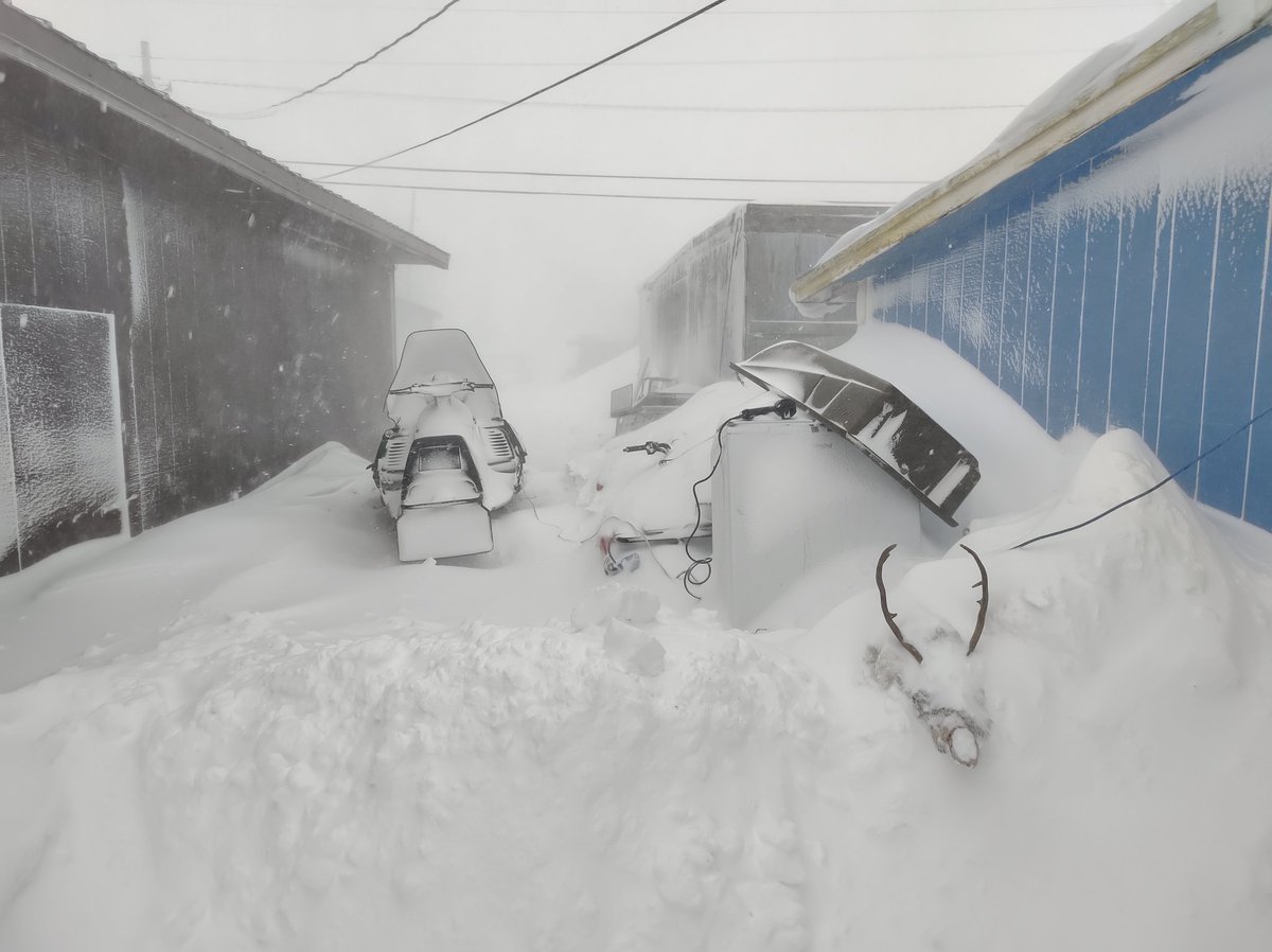tammaq13's tweet photo. 2-22-23, 2:27 m, Kotzebue, Alaska, 20 d Fah (-7 C), wind chill 9 d Fah (-18 C), winds E at 37 (59.55 kmh), what we be like https://t.co/0MNph9gjX7