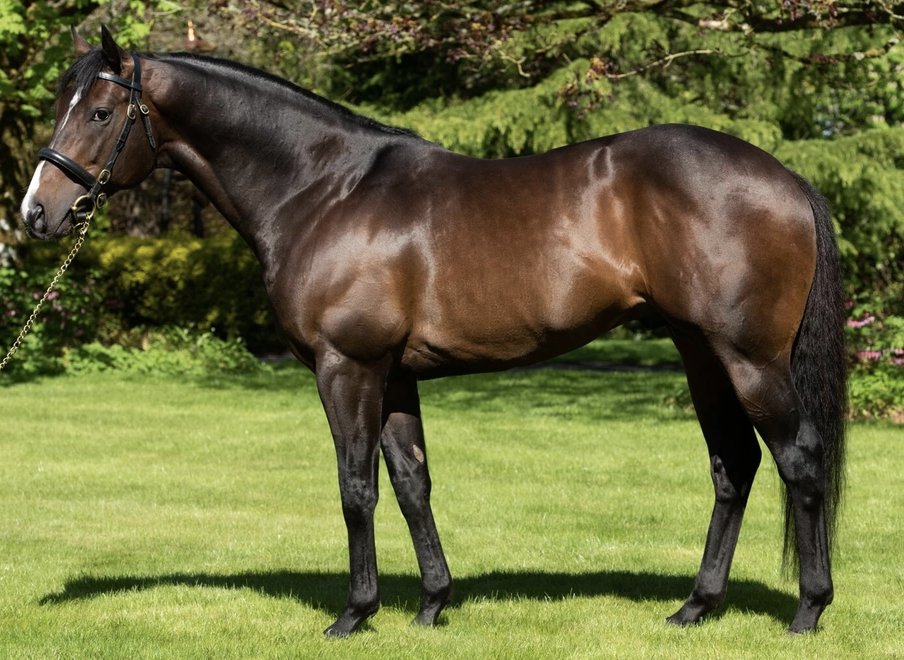 anz_news's tweet image. An upset in the opener at Wanganui with Chantilly Lace (2 f ex On The Move by More Than Ready) recording a strong win, giving her sire U S NAVY FLAG (War Front) his 1st SH winner.

Bred by K J Hickman, she is now trained &amp;amp; owned by @ChrissyBambry 👏 @OaksStud

U S Navy Flag 📸
