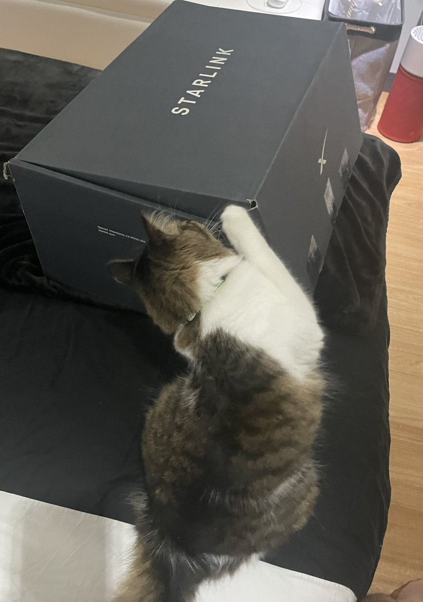 cacuestas's tweet photo. @elonmusk did you see an starlink cat ? Thanks to contemplate Colombia 🇨🇴 for a starlink service. You also need to think in  make available @Tesla cars for our country. I will buy one too! https://t.co/Cri1J7B3Xr