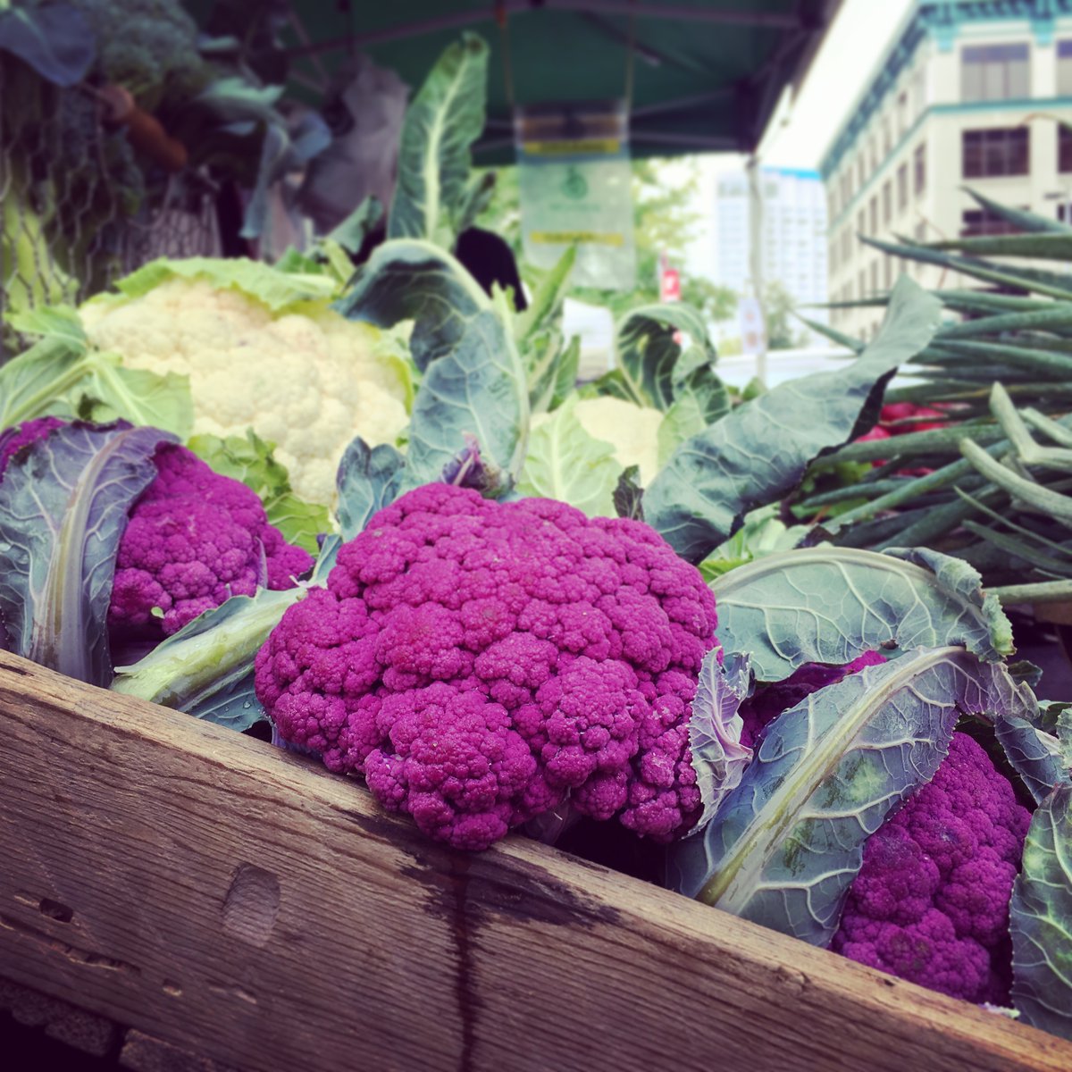 TacomasMarkets's tweet photo. Tacoma Farmers Market - February Market News - https://t.co/3MzOUCV61A https://t.co/nSPLW2CNgT