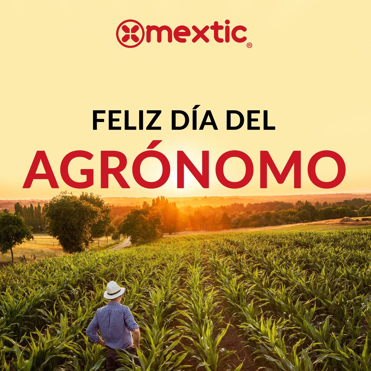 mextic's tweet photo. ¡Felicidades Agrónomos! 👨🏻‍🌾🌾👩🏻‍🌾🌱 https://t.co/cg8tWDxHlr
