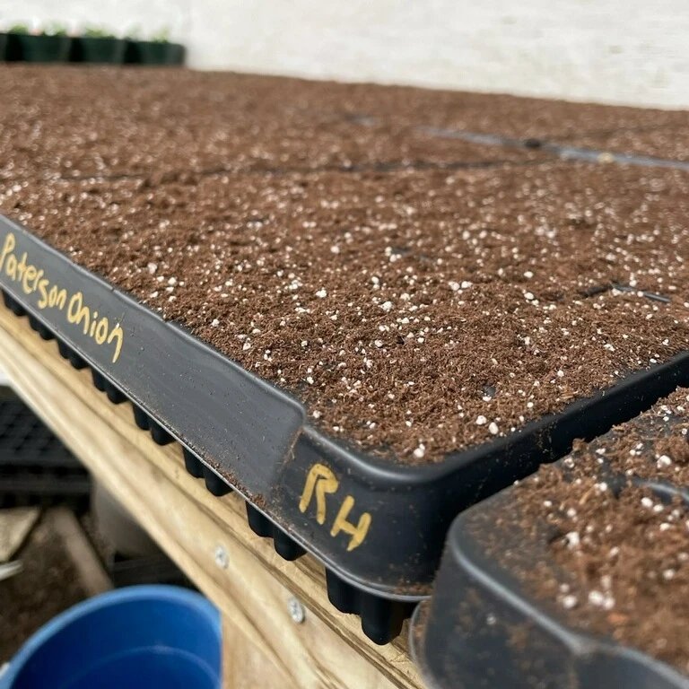 Let the #seeding begin! 1st of the season w/our farm partners #CedarHillFarm
#foodaccess #organicfood #organicfarming #buyfreshbuylocal #foodjustice