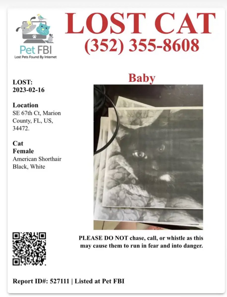kimber_rose's tweet photo. From my neighborhood: https://t.co/lu2eTT5HeF.     
SE 67th Ct, Marion County, FL, US, 34472. https://t.co/02JJ6dNMVH