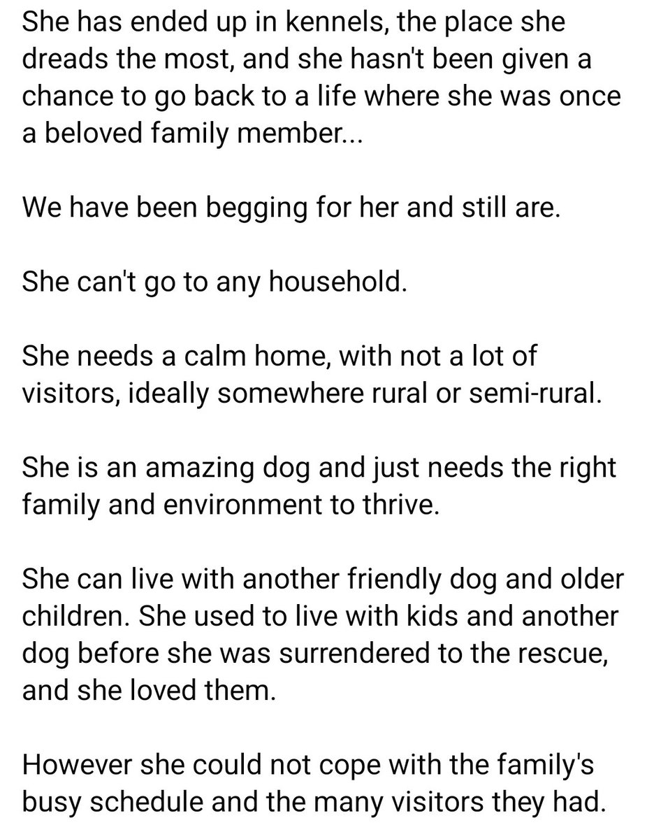 swbrescue's tweet photo. 🐶 JESS 🐶
Please help us to help her….
She found a warm safe space, but has lost it again. 
❤️‍🩹2 months in kennels...
over 6 months begging for a foster or forever home.
Yes, this is the sad life of our poor girl.
Based in #Kent.
Please RT! 
#RescueDog
https://t.co/HP0JGofqrn https://t.co/yv6vX5U5C5