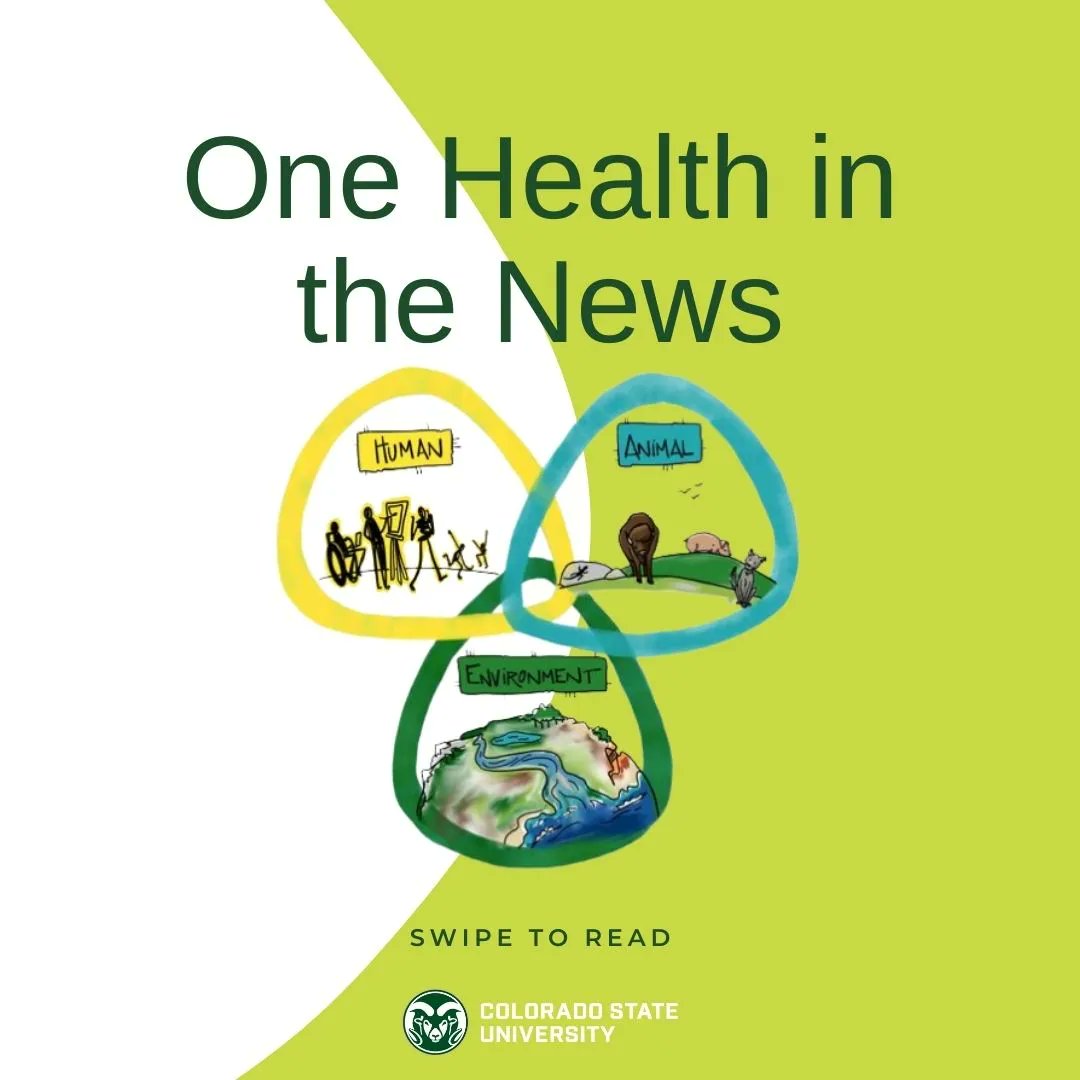 onehealth_csu's tweet photo. There is a lot of great One Health news this week! Check out the links below.
#onehealthinstitute #onehealthcsu #onehealthnews
https://t.co/E7VC0IlIQT
https://t.co/Edhv2dvfns
https://t.co/4Q2hzzhpam
https://t.co/L0X7f1gsAn
https://t.co/ivyVPcXMs5 https://t.co/Xa7DuMKqUf
