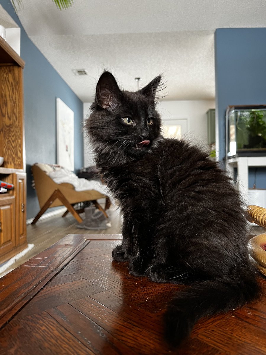 havenalise's tweet photo. @weirdlilguys kiwi mlems https://t.co/aVbWz7rc8G
