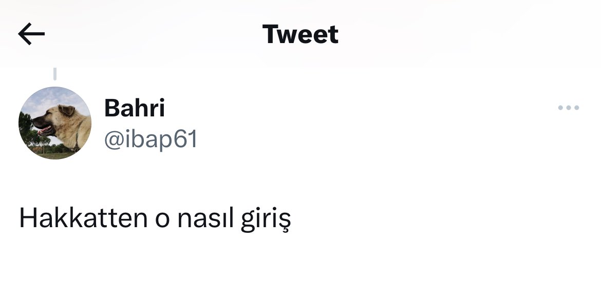 evrem61's tweet photo. @ibap61 @seymujkha @iamyourlawyer Şu yorumu yaptığın kişi 😂 https://t.co/ax4XXuYTF3