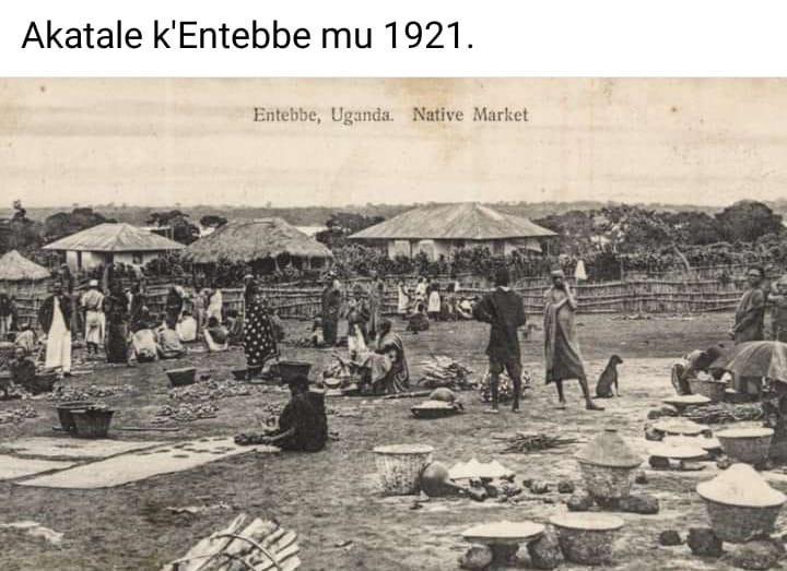 BOBI WINE tweet media