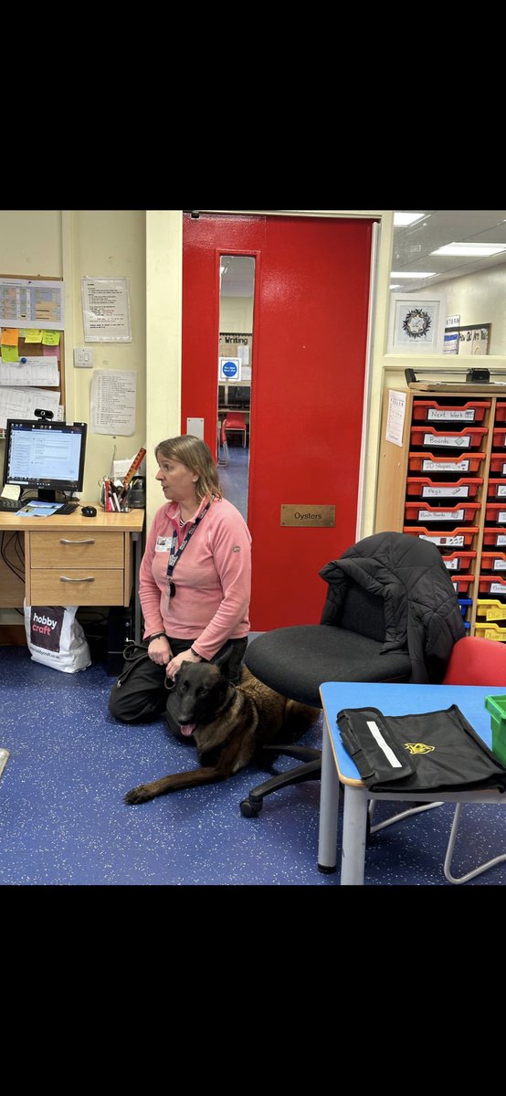 Chappers 🐾🐝 🙋‍♀️ tweet media