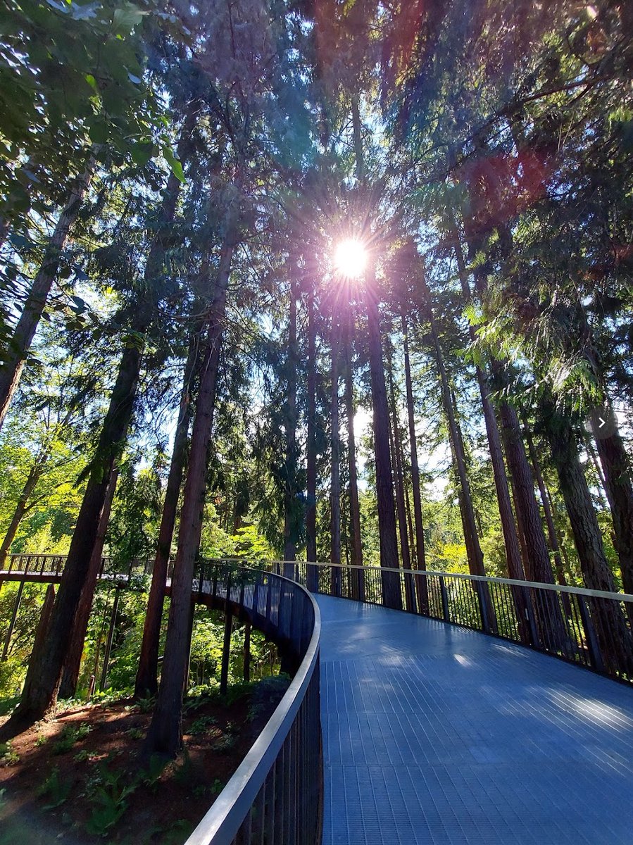 Todd Anderson tweet media