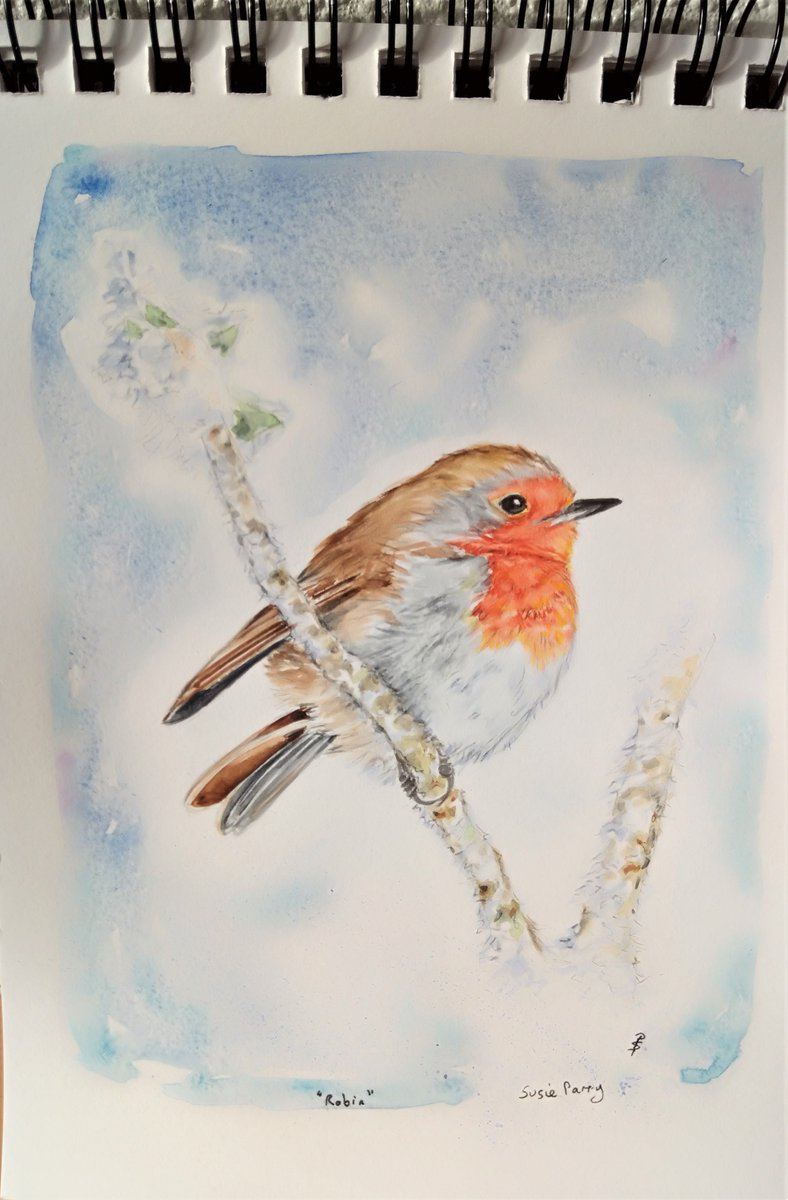 Here's a painting of a little robin, done whilst I was lying down recently 🥰🐦#WildlifeWednesday #wednesdaythought #birds #FeedTheBirds #WatercolourWednesday #Watercolourpainting #artshare 🤗🐦