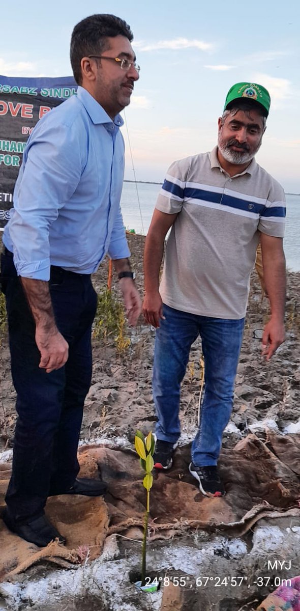 ShehzadSadiq6's tweet photo. Minister, Forests SINDH Nawabzada Taimur Talpur along with a team of media persons visited mangrove forests of Keti Bundar and Inaugurated the Spring Tree Planting Campaign, 2023 by planting a mangrove sapling at Hajamro Creek, Keti Bundar, District Thatta. https://t.co/LRi18epmiN