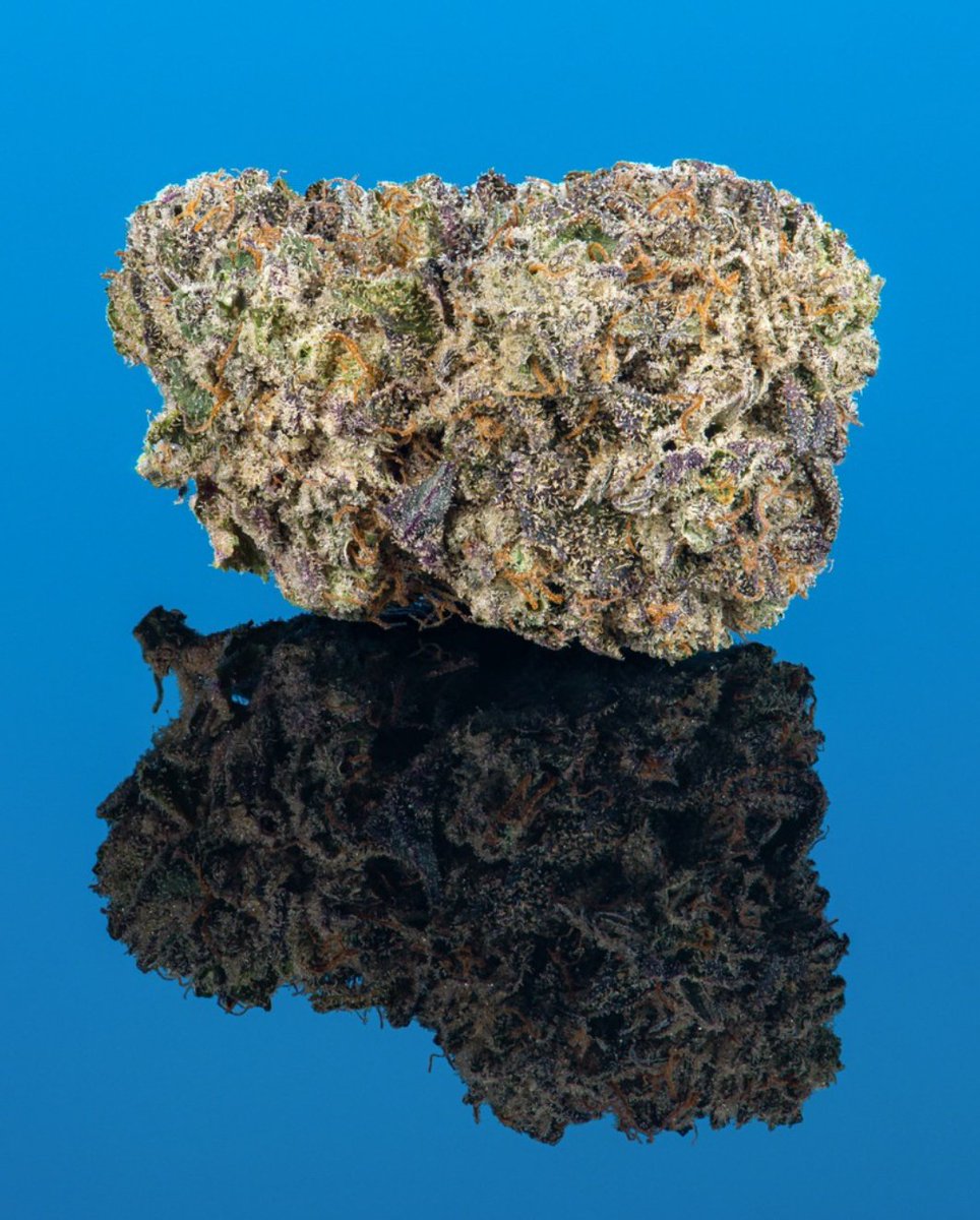 Dav_weed's tweet photo. Ridgeline Lantz has a high that takes you to another planet 🪐 https://t.co/F92lUVlotJ