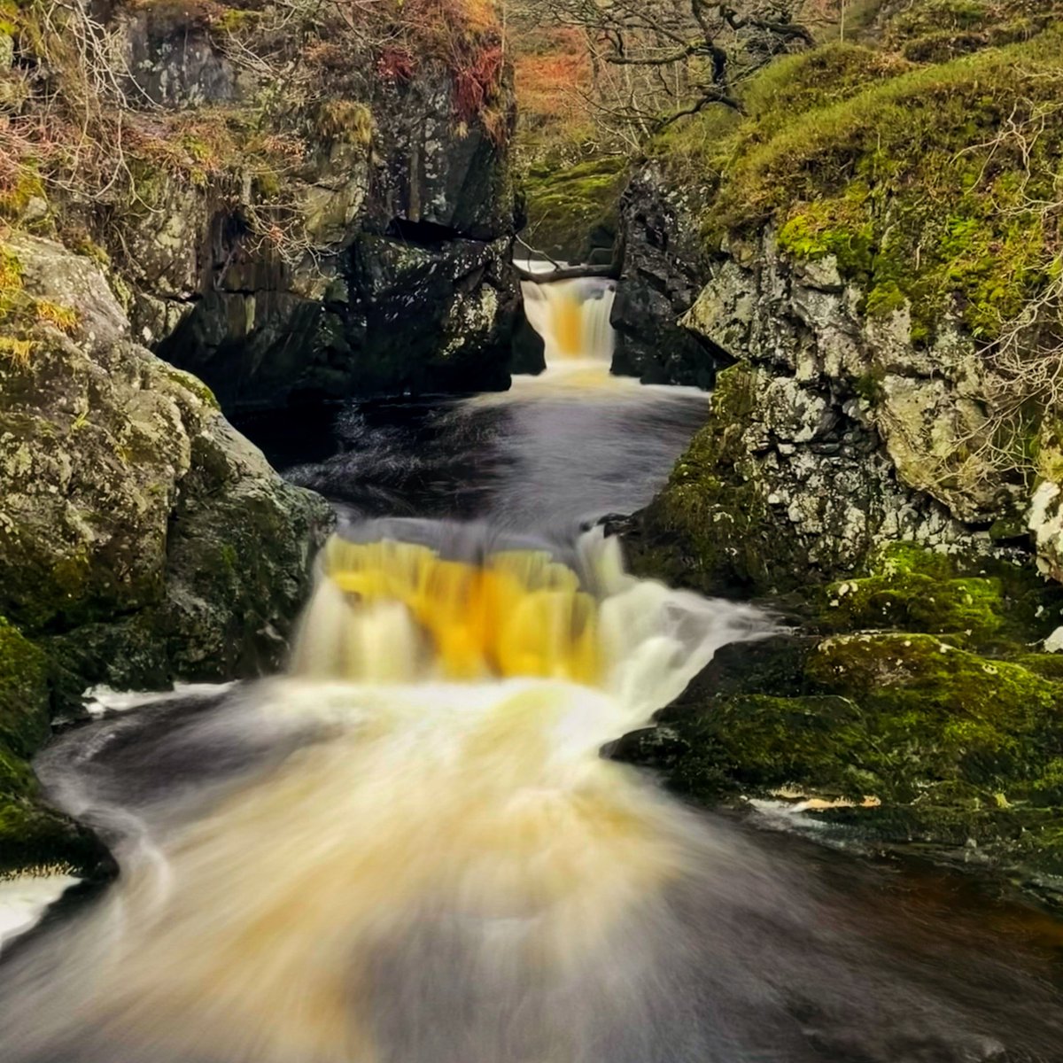 Derek Jones tweet media