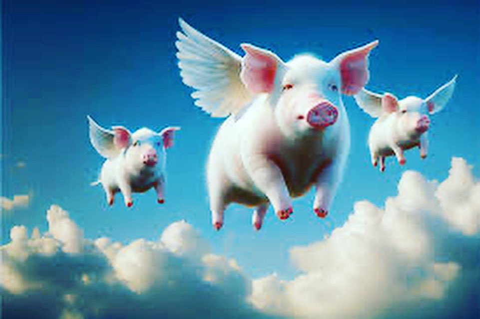 moyaphx's tweet image. The winds in Phoenix today be like! #Windy #whenpigsfly