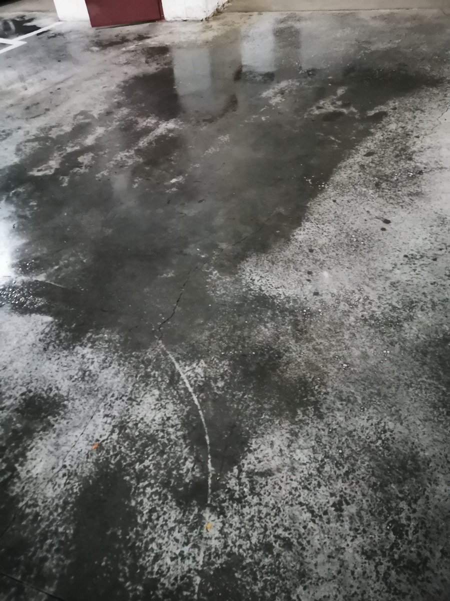 Limpieza y desinfección  de garajes, con  bactericidas específicos para el covid -19 productos autorizados por sanidad, en Fontan. 

Luminarias, tubos, bajantes, rampas, extintores, llaves de luz, accesos a trasteros y puertas de accesos, puerta de entrada.