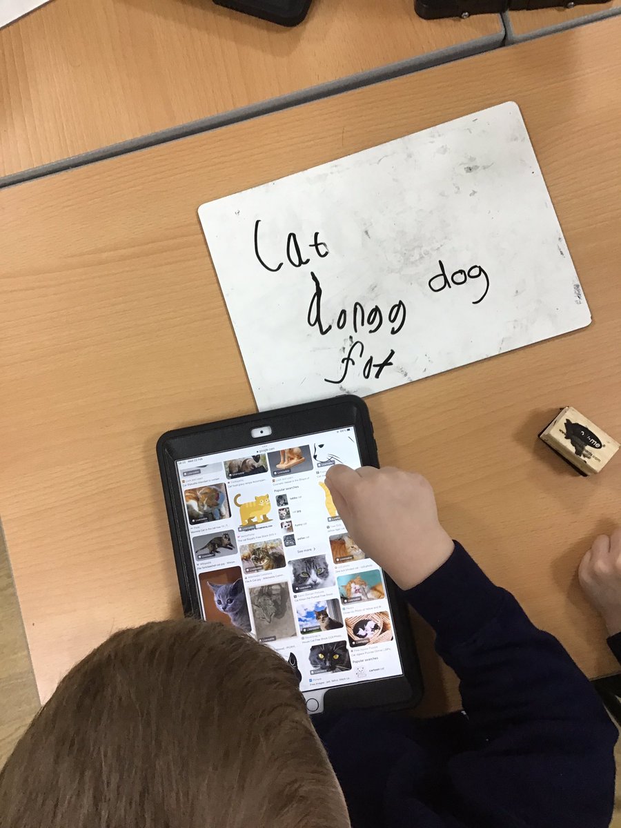 welholmeacademy's tweet photo. Today our lesson started with a discussion about whether a digital picture on the computer belongs to us or the person we share it with. We then used Google to search for images of our favourite animals. #WelholmeY1. #Welholmecomputing https://t.co/5N8LZELcrA