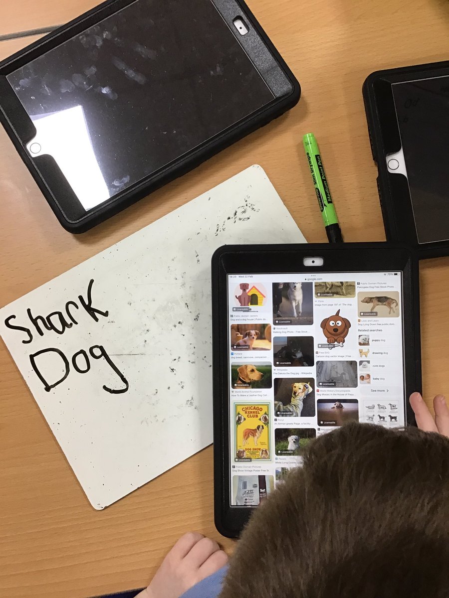 welholmeacademy's tweet photo. Today our lesson started with a discussion about whether a digital picture on the computer belongs to us or the person we share it with. We then used Google to search for images of our favourite animals. #WelholmeY1. #Welholmecomputing https://t.co/5N8LZELcrA