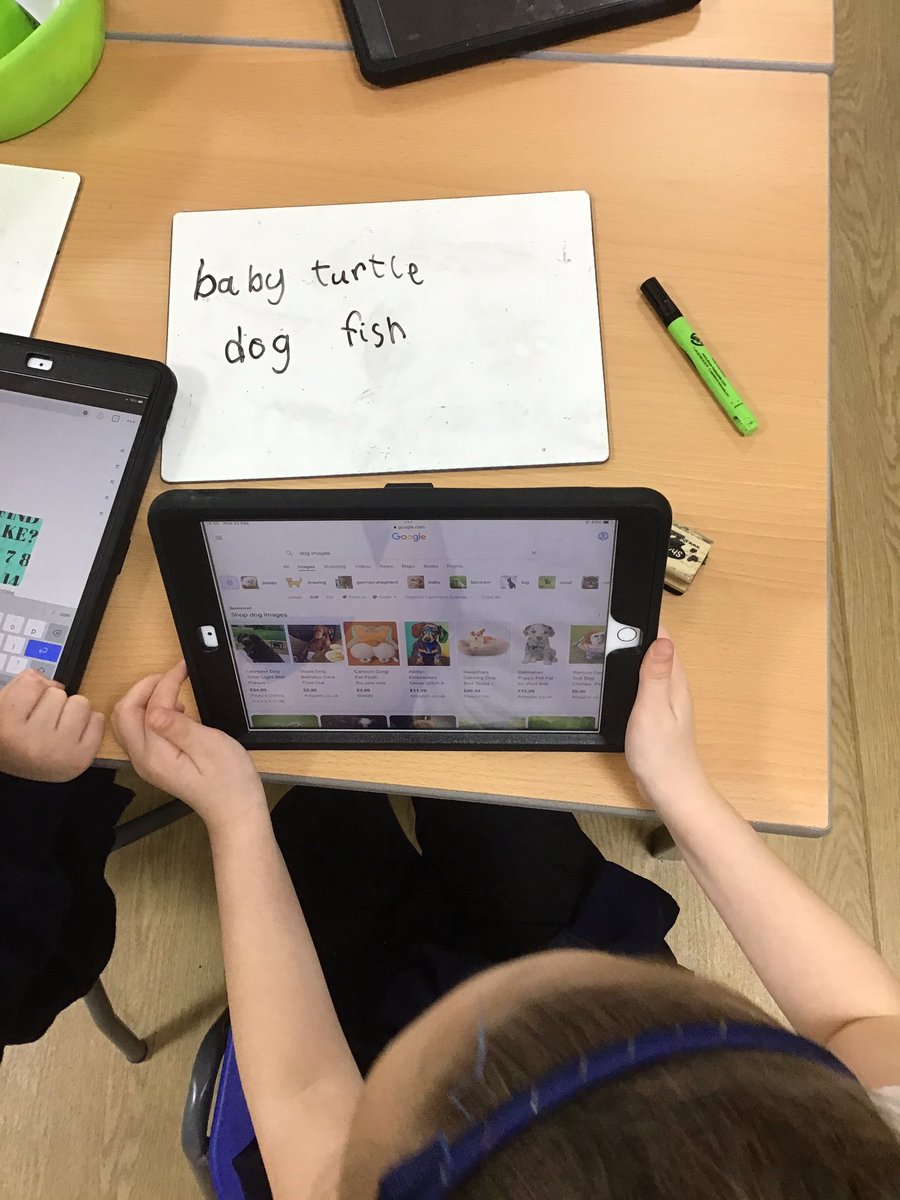 welholmeacademy's tweet photo. Today our lesson started with a discussion about whether a digital picture on the computer belongs to us or the person we share it with. We then used Google to search for images of our favourite animals. #WelholmeY1. #Welholmecomputing https://t.co/5N8LZELcrA