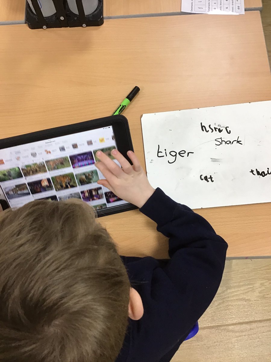 welholmeacademy's tweet photo. Today our lesson started with a discussion about whether a digital picture on the computer belongs to us or the person we share it with. We then used Google to search for images of our favourite animals. #WelholmeY1. #Welholmecomputing https://t.co/5N8LZELcrA