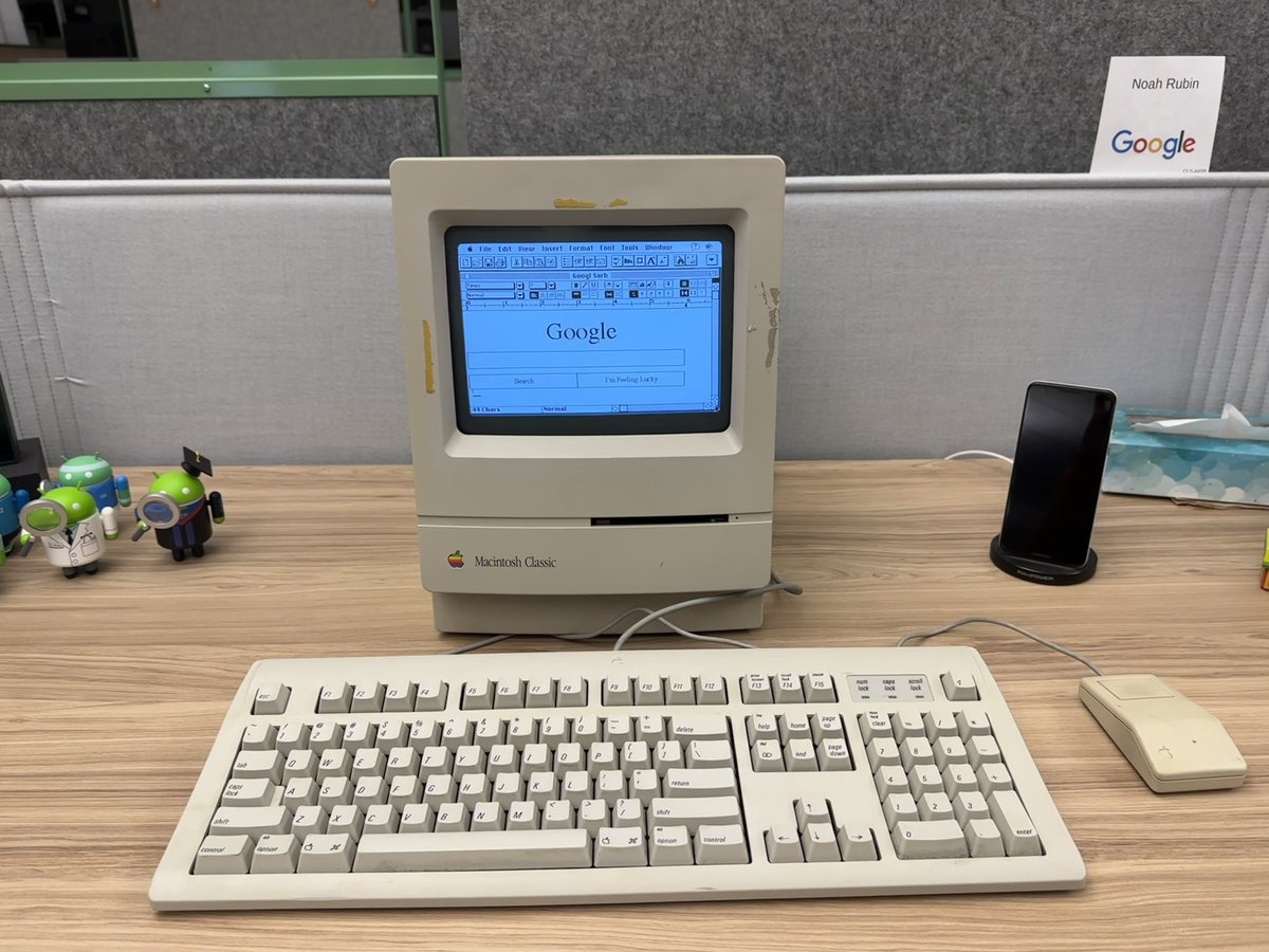 Noah Rubin tweet media