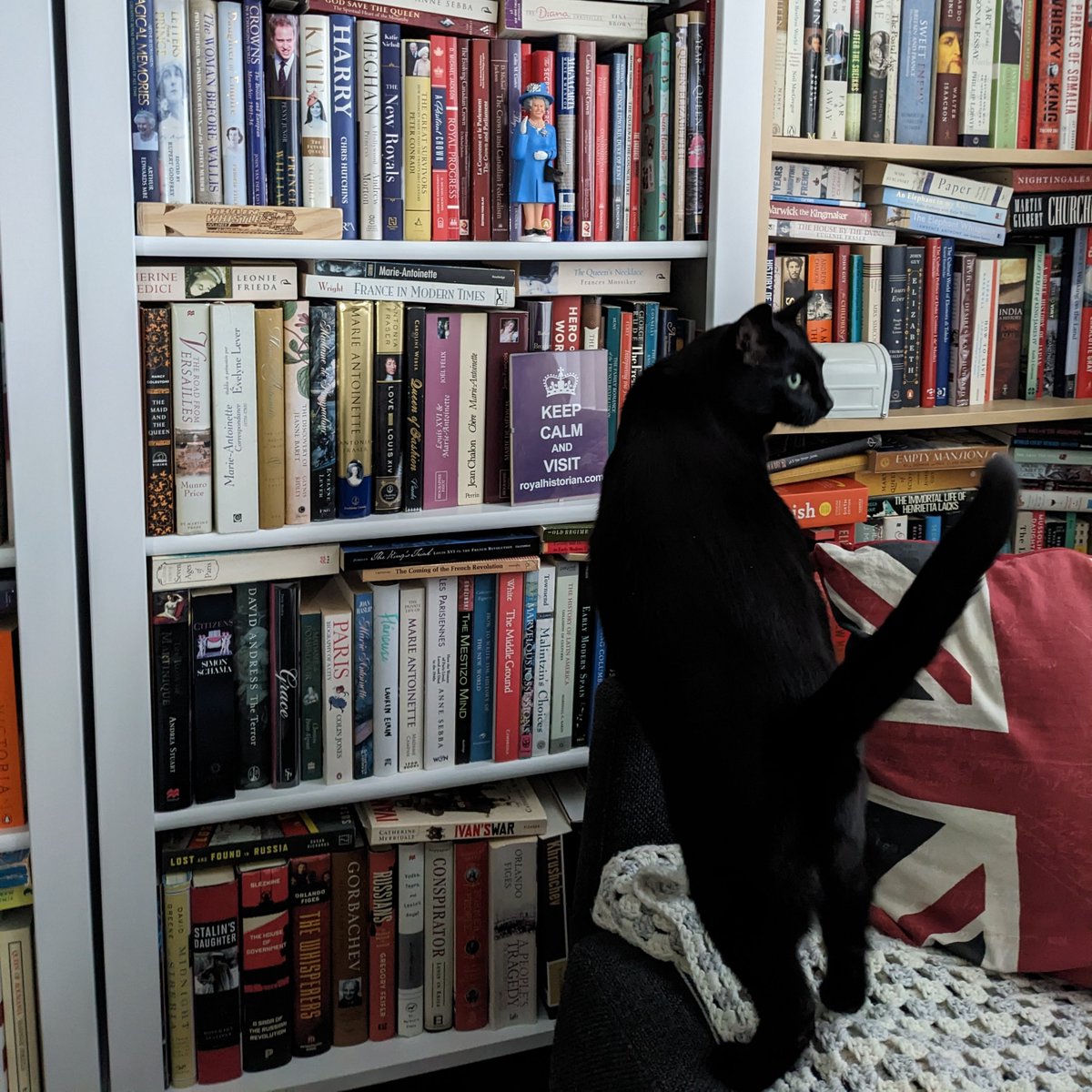 Carolyn Harris tweet media