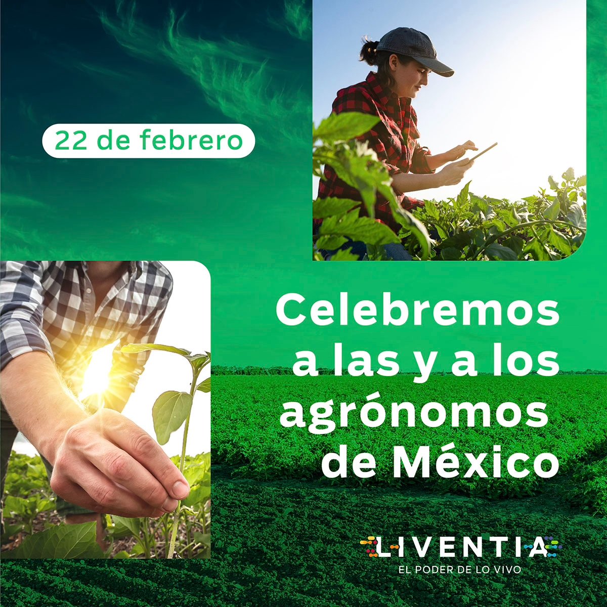 ¡Hoy es Día del #IngenieroAgrónomo y queremos reconocer la incansable labor de las y los profesionales del campo en todo #México!

¡Mencione o arrobe a su #ingeniero #Agrónomo en los comentarios para felicitarle!

#LIVENTIA #elpoderdelovivo
liventia.net/es/
