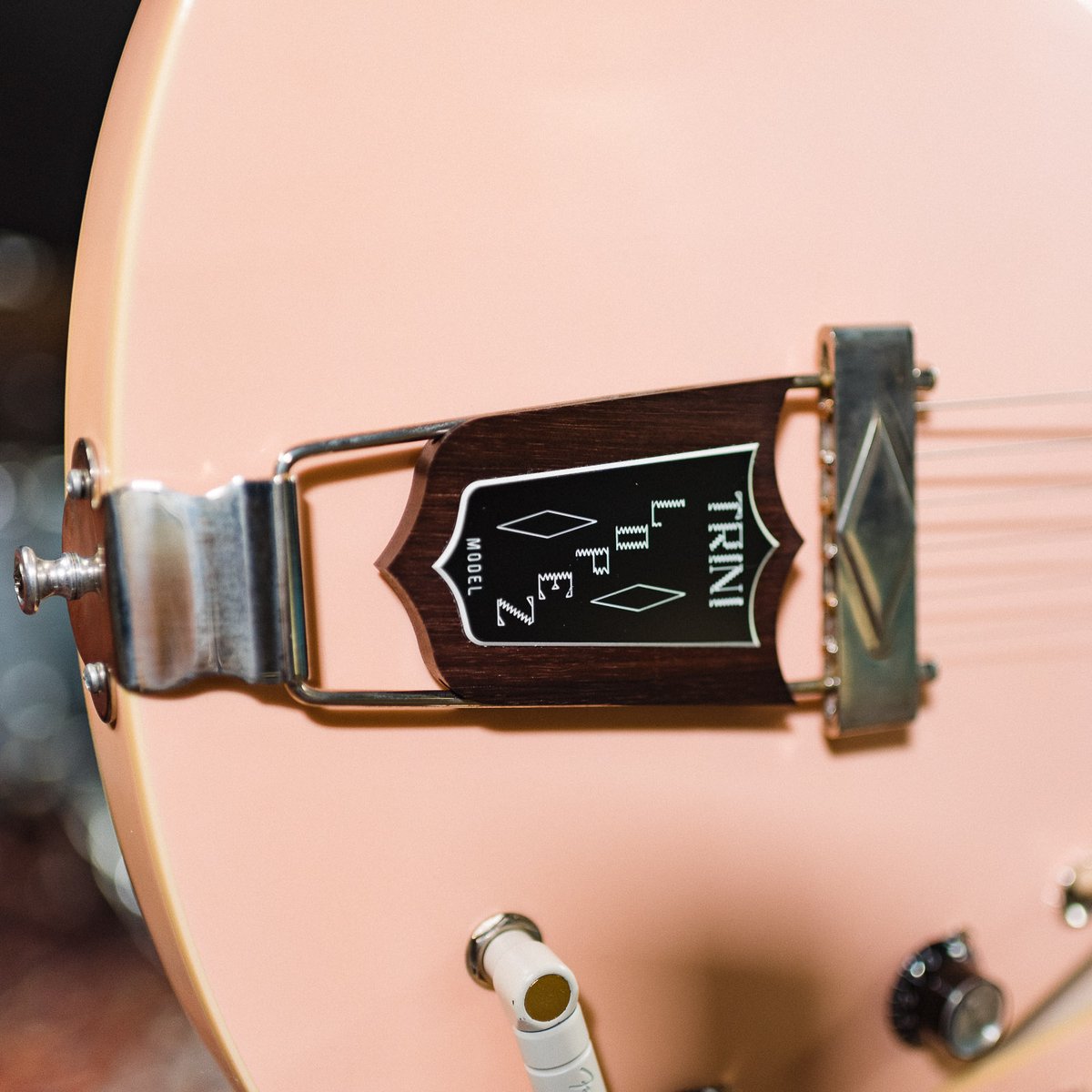 ChicagoMusicEx's tweet photo. Aged to perfection at Murphy Labs in Nashville and featuring our favorite colors, these @gibsonguitar thinline models offer alternatives to other models. Discover the magic of the Gibson Trini Lopez model with our signature “CME Spec” editions! https://t.co/n4ralLzChF #CMEspec https://t.co/JOlEZZohzz